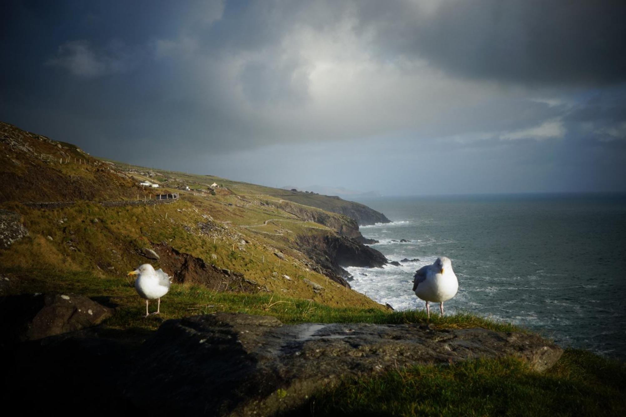 Keanes Of Curraheen, Bar, Restaurant & Accommodation Трали Экстерьер фото